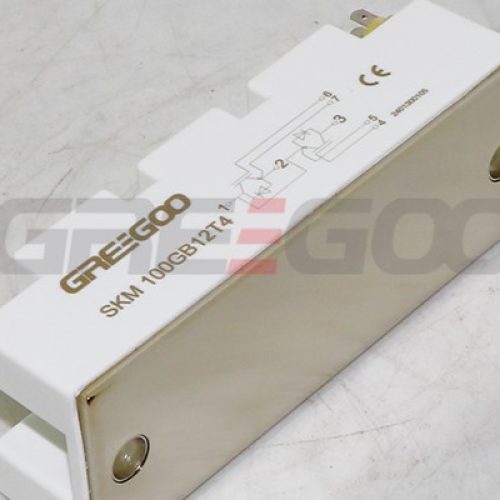 copy-skm igbt modules-1
